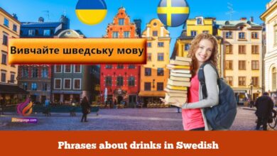 Phrases about drinks in Swedish