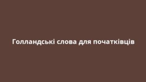 Голландські слова для початківців