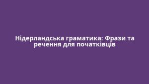 Нідерландська граматика: Фрази та речення для початківців