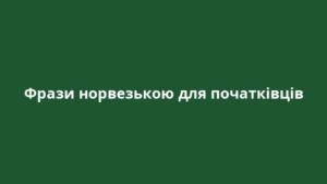 Фрази норвезькою для початківців