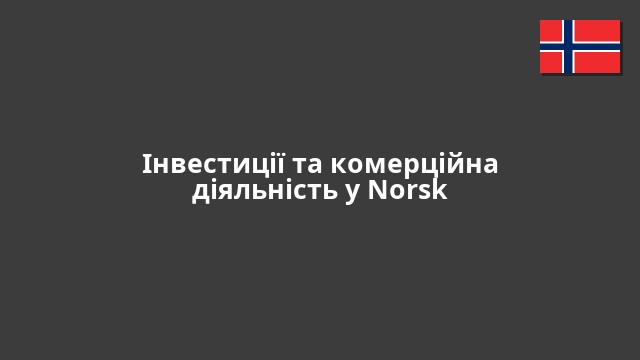 Інвестиції та комерційна діяльність у Norsk