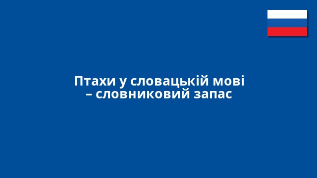 Птахи у словацькій мові – словниковий запас