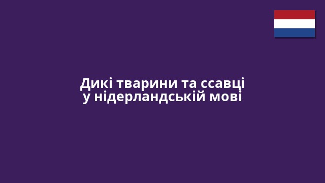Дикі тварини та ссавці у нідерландській мові