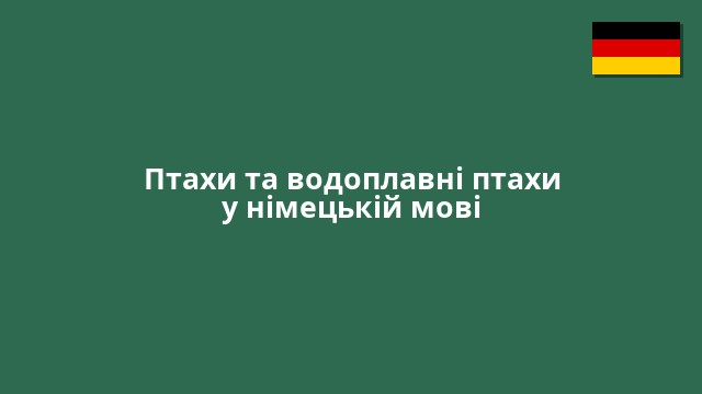 Птахи та водоплавні птахи у німецькій мові