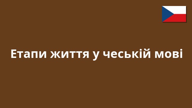 Етапи життя у чеській мові