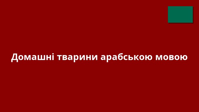 Домашні тварини арабською мовою