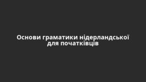 Основи граматики нідерландської для початківців