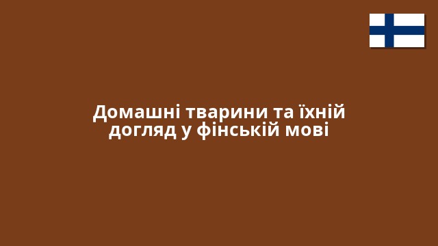 Домашні тварини та їхній догляд у фінській мові