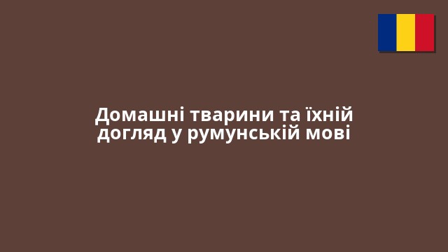 Домашні тварини та їхній догляд у румунській мові
