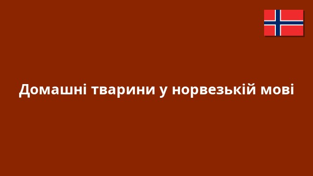 Домашні тварини у норвезькій мові