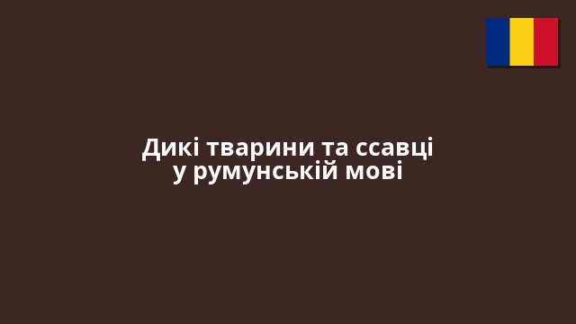 Дикі тварини та ссавці у румунській мові