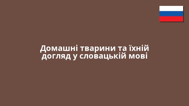 Домашні тварини та їхній догляд у словацькій мові