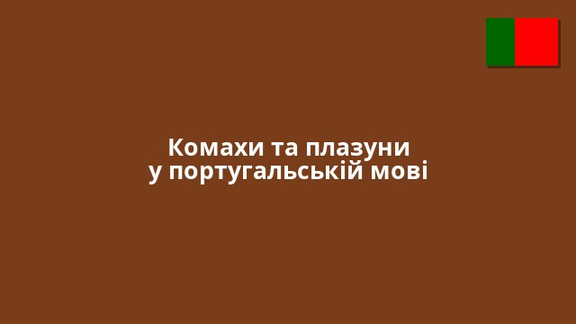 Комахи та плазуни у португальській мові