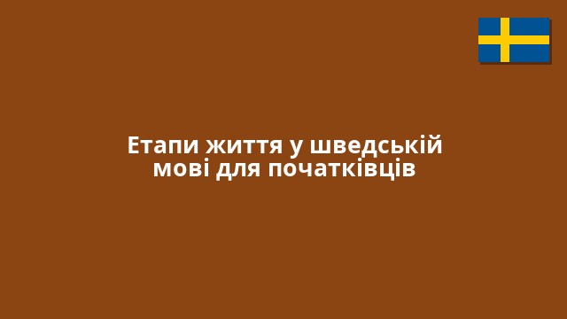 Етапи життя у шведській мові для початківців