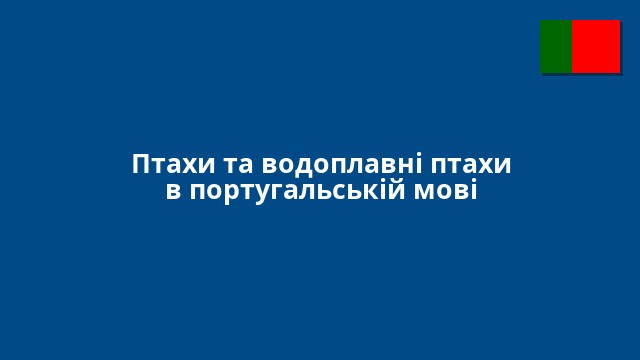 Птахи та водоплавні птахи в португальській мові
