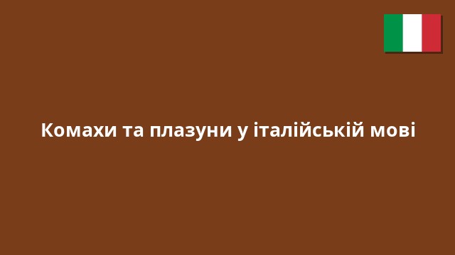 Комахи та плазуни у італійській мові