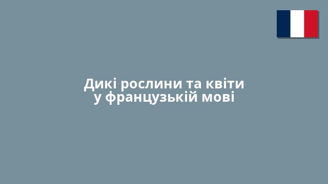 Дикі рослини та квіти у французькій мові