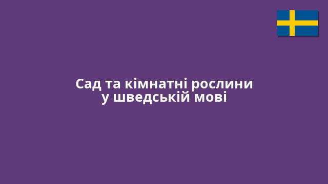 Сад та кімнатні рослини у шведській мові