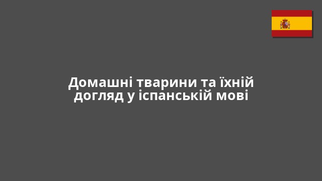 Домашні тварини та їхній догляд у іспанській мові