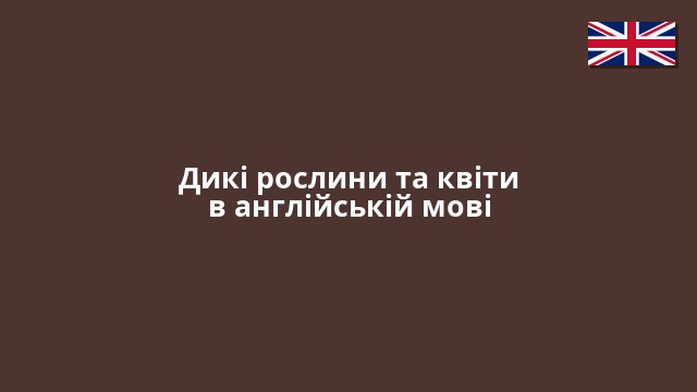 Дикі рослини та квіти в англійській мові