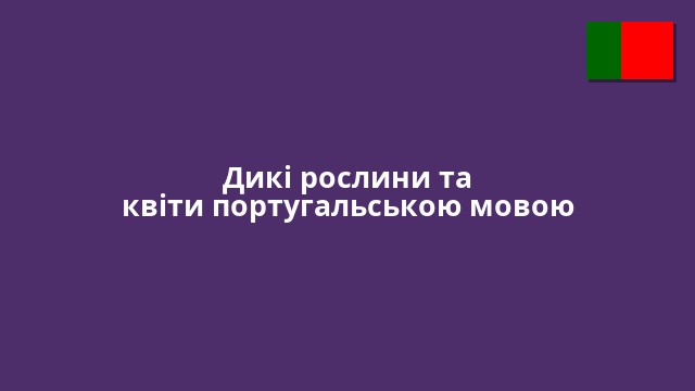 Дикі рослини та квіти португальською мовою