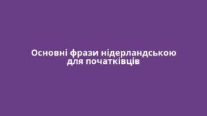 Основні фрази нідерландською для початківців