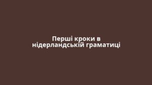 Перші кроки в нідерландській граматиці